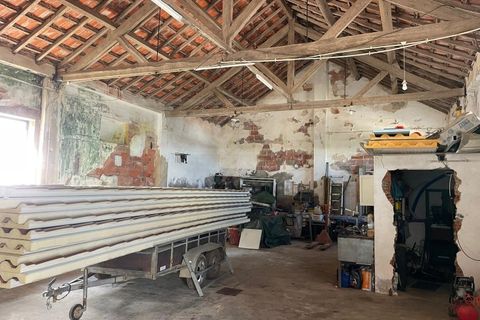 Villa i Santiago do Cacem, Setubal, Santiago do Cacem - € 350.000 | Ref: 2026066 - foto 9