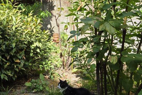 Apartamento en Florence, Florence, Florence - € 450.000 | Ref: CAT80 - photo 36