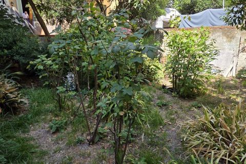 Apartamento en Florence, Florence, Florence - € 450.000 | Ref: CAT80 - photo 39