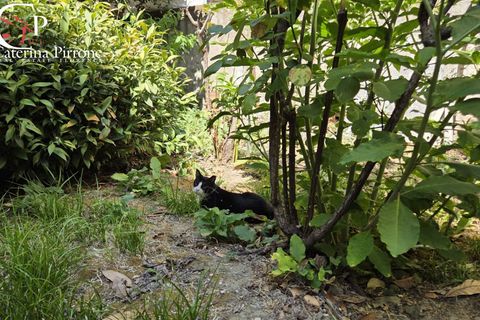 Apartamento en Florence, Florence, Florence - € 450.000 | Ref: CAT80 - photo 41
