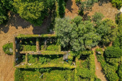 Villa i Ponte de Lima, Viana do Castelo, Ponte de Lima - € 250.000 | Ref: C0256-03454 - foto 8