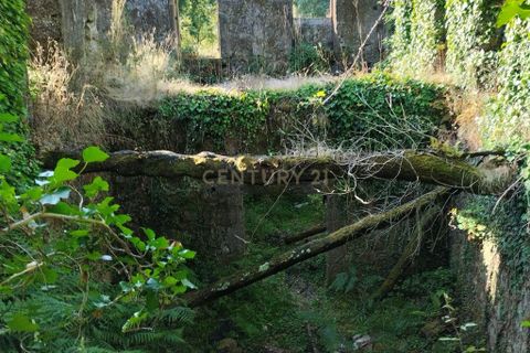Villa i Ponte de Lima, Viana do Castelo, Ponte de Lima - € 250.000 | Ref: C0256-03454 - foto 15