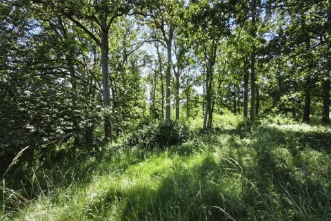 Terra a Queaux, Vienne, Queaux - € 10.500 | Ref: 9217JL - foto 2