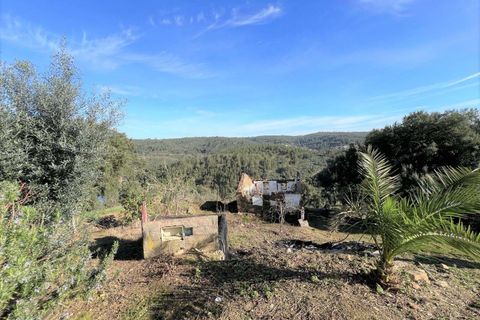 Villa i Abrantes, Santarem, Abrantes - € 46.900 | Ref: C0222-07088 - foto 1
