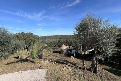Villa i Abrantes, Santarem, Abrantes - € 46.900 | Ref: C0222-07088 - foto 5