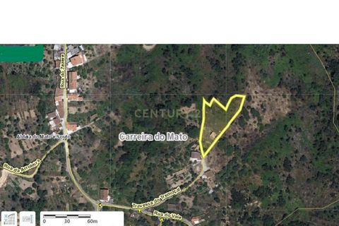 Villa i Abrantes, Santarem, Abrantes - € 46.900 | Ref: C0222-07088 - foto 8