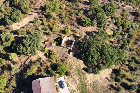 Villa i Abrantes, Santarem, Abrantes - € 46.900 | Ref: C0222-07088 - foto 14