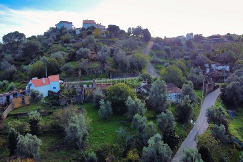 Villa i Abrantes, Santarem, Abrantes - € 46.900 | Ref: C0222-07088 - foto 17