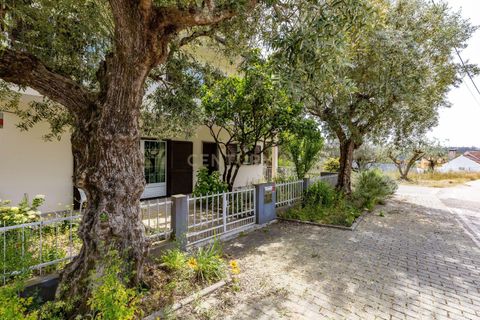 Villa a Pombal, Leiria, Pombal - € 260.000 | Ref: C0381-00909 - foto 38