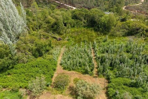 Villa a Pombal, Leiria, Pombal - € 260.000 | Ref: C0381-00909 - foto 41