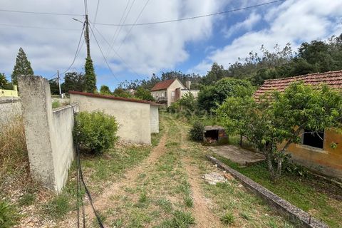 Villa i Pombal, Leiria, Pombal - € 47.500 | Ref: C0381-00910 - foto 29