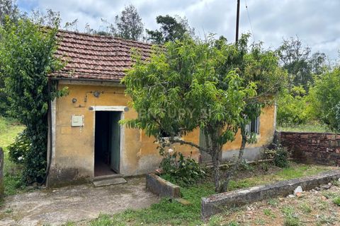 Villa i Pombal, Leiria, Pombal - € 47.500 | Ref: C0381-00910 - foto 31