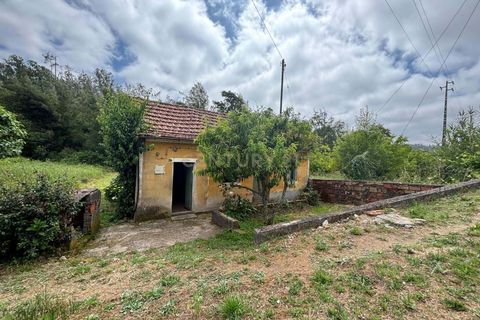 Villa i Pombal, Leiria, Pombal - € 47.500 | Ref: C0381-00910 - foto 32