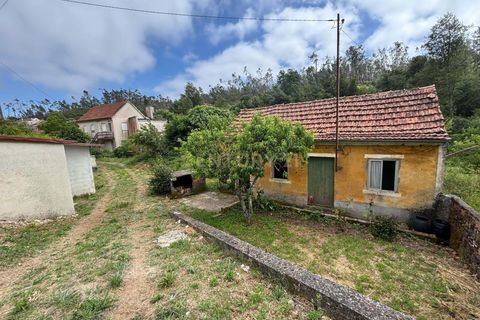 Villa i Pombal, Leiria, Pombal - € 47.500 | Ref: C0381-00910 - foto 33