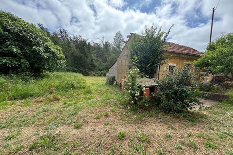 Villa i Pombal, Leiria, Pombal - € 47.500 | Ref: C0381-00910 - foto 34
