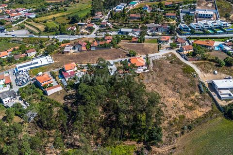 Helårsgrund i Barcelos, Braga, Barcelos - € 72.500 | Ref: 254260812 - foto 3