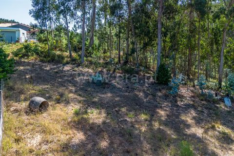 Helårsgrund i Barcelos, Braga, Barcelos - € 72.500 | Ref: 254260812 - foto 5