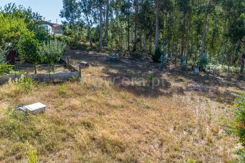 Helårsgrund i Barcelos, Braga, Barcelos - € 72.500 | Ref: 254260812 - foto 6
