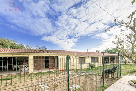 Villa i Sintra, Lisbon, Sintra - € 990.000 | Ref: ALC 1238.2 - foto 27