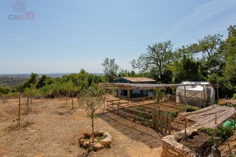 Villa i Tunes, Faro, Tunes - € 2.500.000 | Ref: ALC 1431 - foto 46