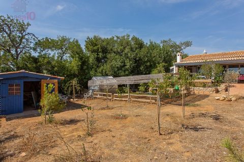 Villa i Tunes, Faro, Tunes - € 2.500.000 | Ref: ALC 1431 - foto 47