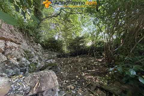 Byhus i Lavelanet, Ariege, Lavelanet - € 118.000 | Ref: 87058549 - foto 7