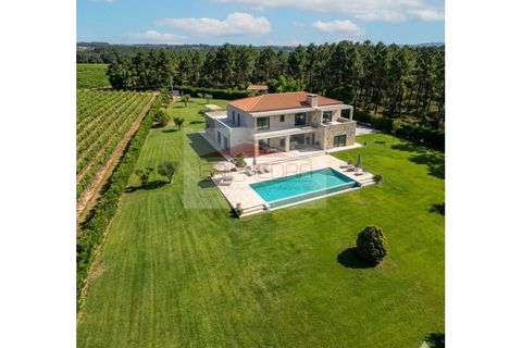 Helårsgrund i Anadia, Aveiro, Anadia - € 55.000 | Ref: 260529 - foto 2