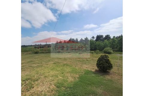 Helårsgrund i Anadia, Aveiro, Anadia - € 55.000 | Ref: 260529 - foto 4