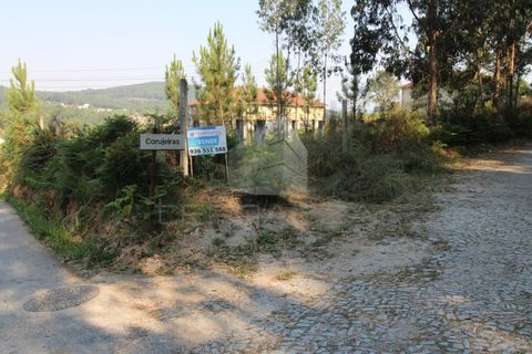 Helårsgrund i Fervenca, Braga, Fervenca - € 52.500 | Ref: TRZ_JT_503 - foto 4