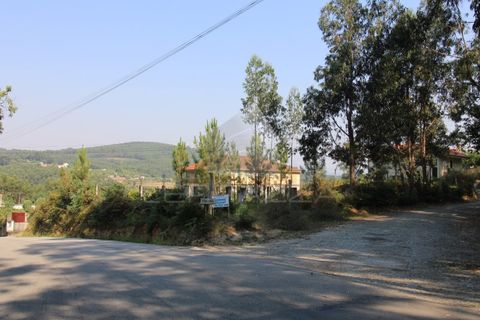 Helårsgrund i Fervenca, Braga, Fervenca - € 52.500 | Ref: TRZ_JT_503 - foto 5