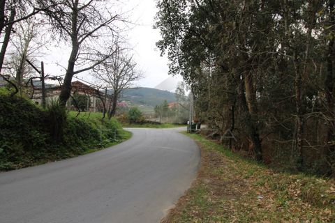 Helårsgrund i Fervenca, Braga, Fervenca - € 52.500 | Ref: TRZ_JT_503 - foto 6