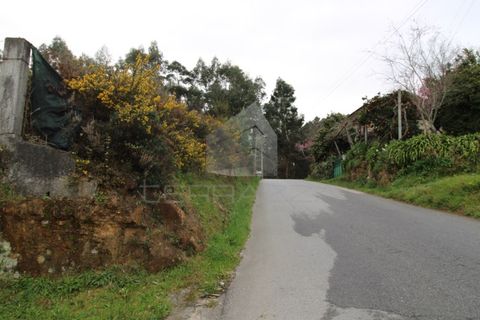 Helårsgrund i Fervenca, Braga, Fervenca - € 52.500 | Ref: TRZ_JT_503 - foto 7