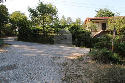 Helårsgrund i Fervenca, Braga, Fervenca - € 52.500 | Ref: TRZ_JT_503 - foto 8