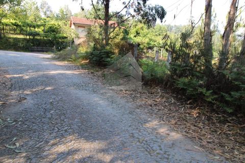 Helårsgrund i Fervenca, Braga, Fervenca - € 52.500 | Ref: TRZ_JT_503 - foto 9