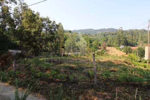 Helårsgrund i Fervenca, Braga, Fervenca - € 52.500 | Ref: TRZ_JT_503 - foto 10