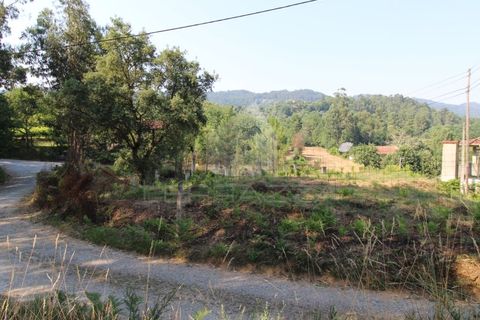 Helårsgrund i Fervenca, Braga, Fervenca - € 52.500 | Ref: TRZ_JT_503 - foto 11