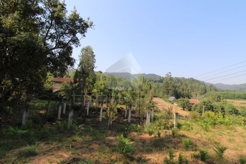 Helårsgrund i Fervenca, Braga, Fervenca - € 52.500 | Ref: TRZ_JT_503 - foto 12