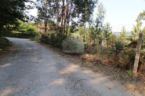 Helårsgrund i Fervenca, Braga, Fervenca - € 52.500 | Ref: TRZ_JT_503 - foto 13