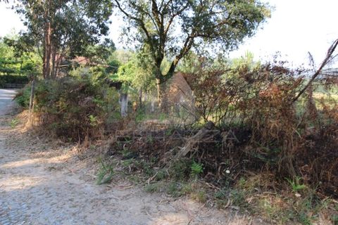 Helårsgrund i Fervenca, Braga, Fervenca - € 52.500 | Ref: TRZ_JT_503 - foto 14
