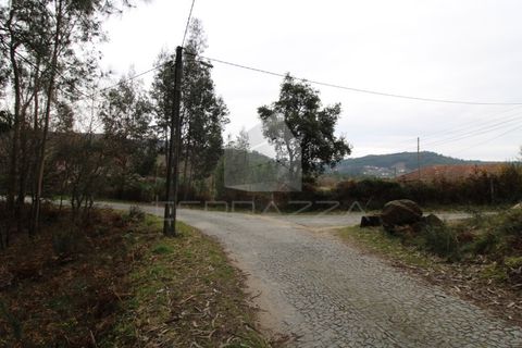 Helårsgrund i Fervenca, Braga, Fervenca - € 52.500 | Ref: TRZ_JT_503 - foto 15