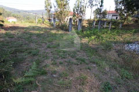 Helårsgrund i Fervenca, Braga, Fervenca - € 52.500 | Ref: TRZ_JT_503 - foto 16