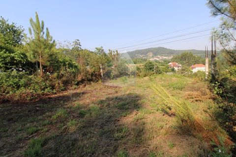 Helårsgrund i Fervenca, Braga, Fervenca - € 52.500 | Ref: TRZ_JT_503 - foto 17