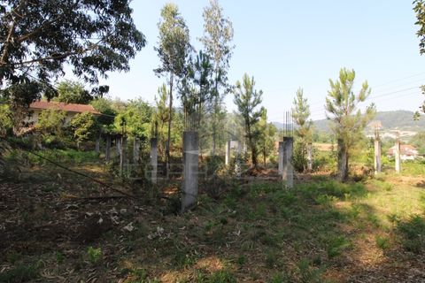 Helårsgrund i Fervenca, Braga, Fervenca - € 52.500 | Ref: TRZ_JT_503 - foto 19