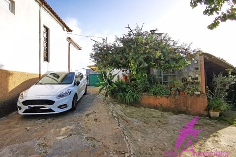 Villa i Viana do Castelo, Viana do Castelo, Viana do Castelo - € 320.000 | Ref: 118/2026 - foto 20