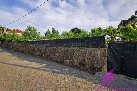 Villa i Viana do Castelo, Viana do Castelo, Viana do Castelo - € 320.000 | Ref: 118/2026 - foto 21