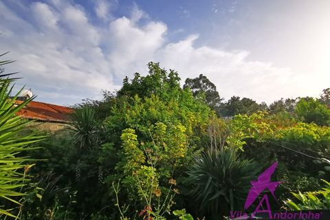 Villa i Viana do Castelo, Viana do Castelo, Viana do Castelo - € 320.000 | Ref: 118/2026 - foto 24