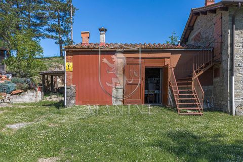 Landejendom i Loro Ciuffenna, Arezzo, Loro Ciuffenna - € 1.180.000 | Ref: 468 - foto 36