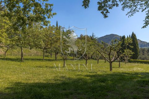 Landejendom i Loro Ciuffenna, Arezzo, Loro Ciuffenna - € 1.180.000 | Ref: 468 - foto 44