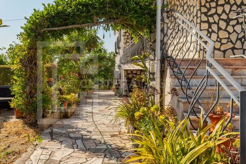 Villa i Quinta do Anjo, Setubal, Quinta do Anjo - € 535.000 | Ref: CAS_192 - foto 28