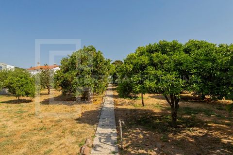 Villa i Quinta do Anjo, Setubal, Quinta do Anjo - € 535.000 | Ref: CAS_192 - foto 30